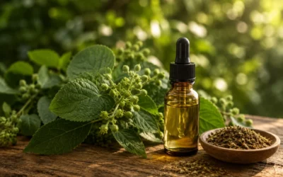 CBD nije samo iz konoplje: znanstvenici ga pronašli u sasvim drugoj biljci.