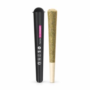 Preroll Royal Amnesia